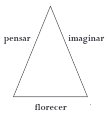 tipos de triangulos